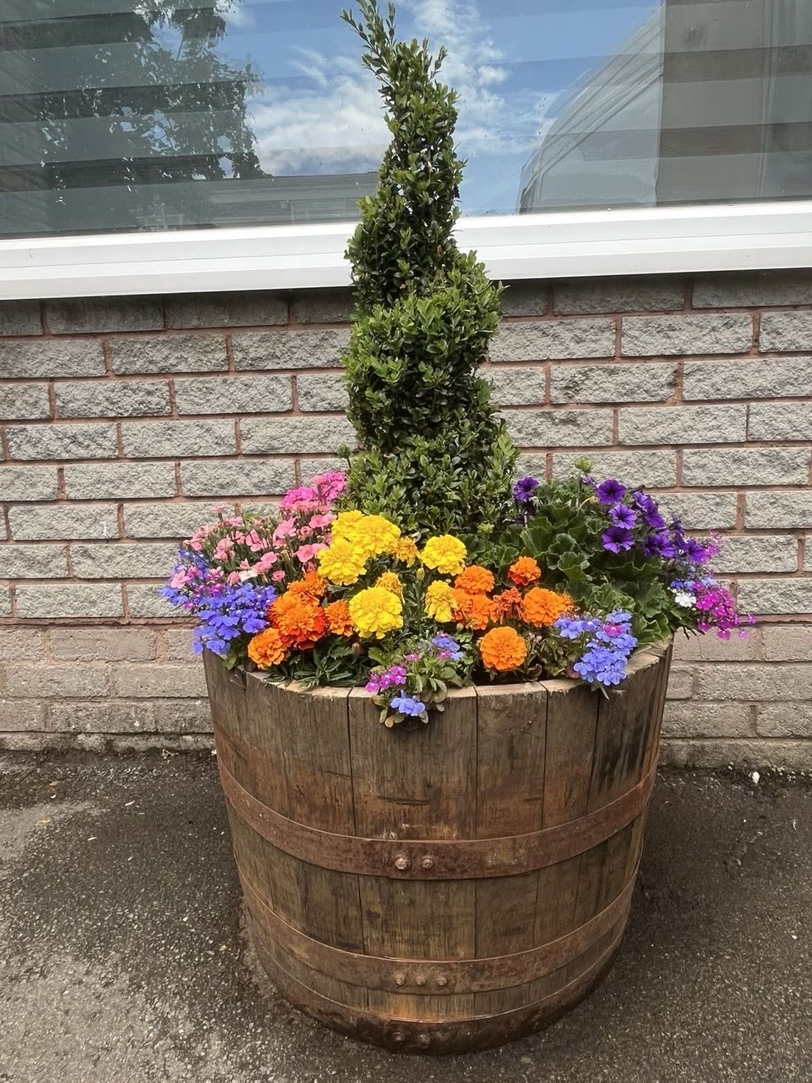 Whiskey barrel planter filled with flowers